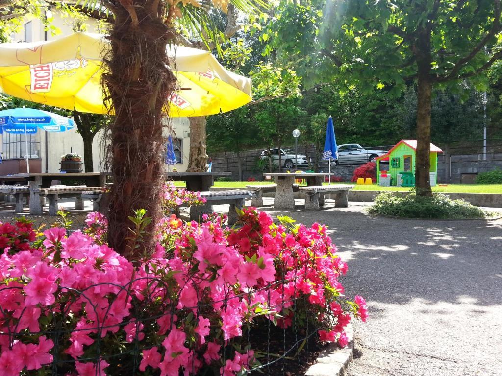 Osteria Belvedere Losone Exterior foto